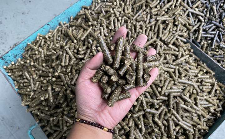 生物质颗粒机燃料颗粒