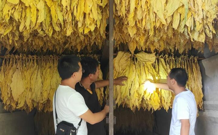 福泉：生物质颗粒智能化烘烤 助力烤烟产业提质增效