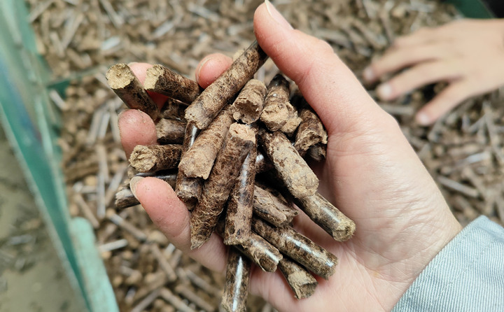 生物质颗粒机加工的颗粒燃料