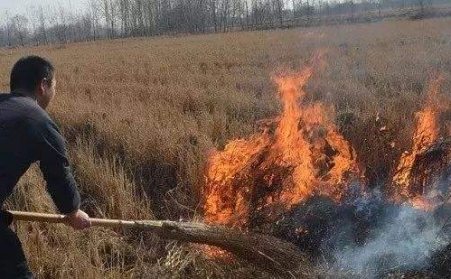 生物质颗粒机解决了农村大难题！