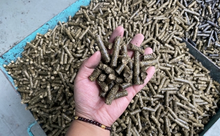 去煤减碳 生物质能源开启替代空间